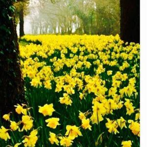 Meet your Posher, Judith